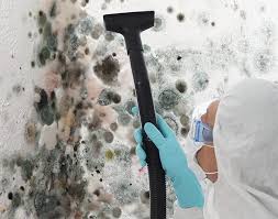 Best Biohazard Mold Removal  in East St Louis, IL